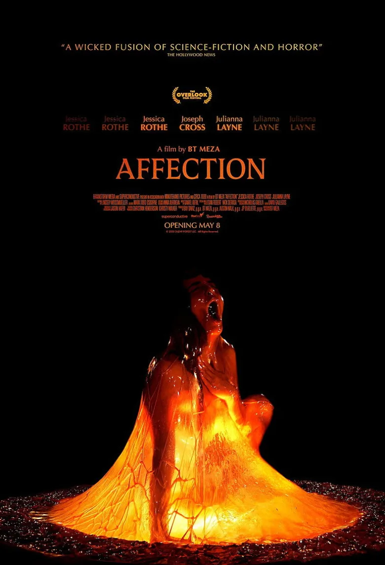 Affection - görsel 10