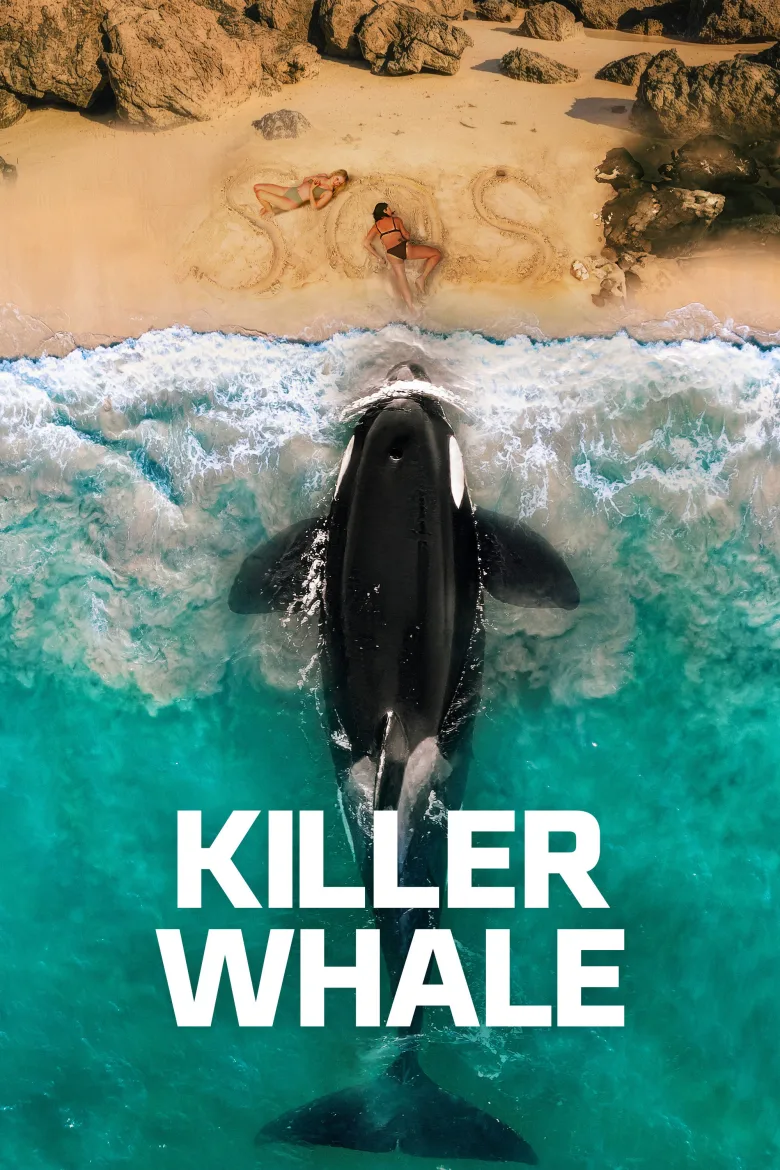 Killer Whale - görsel 11
