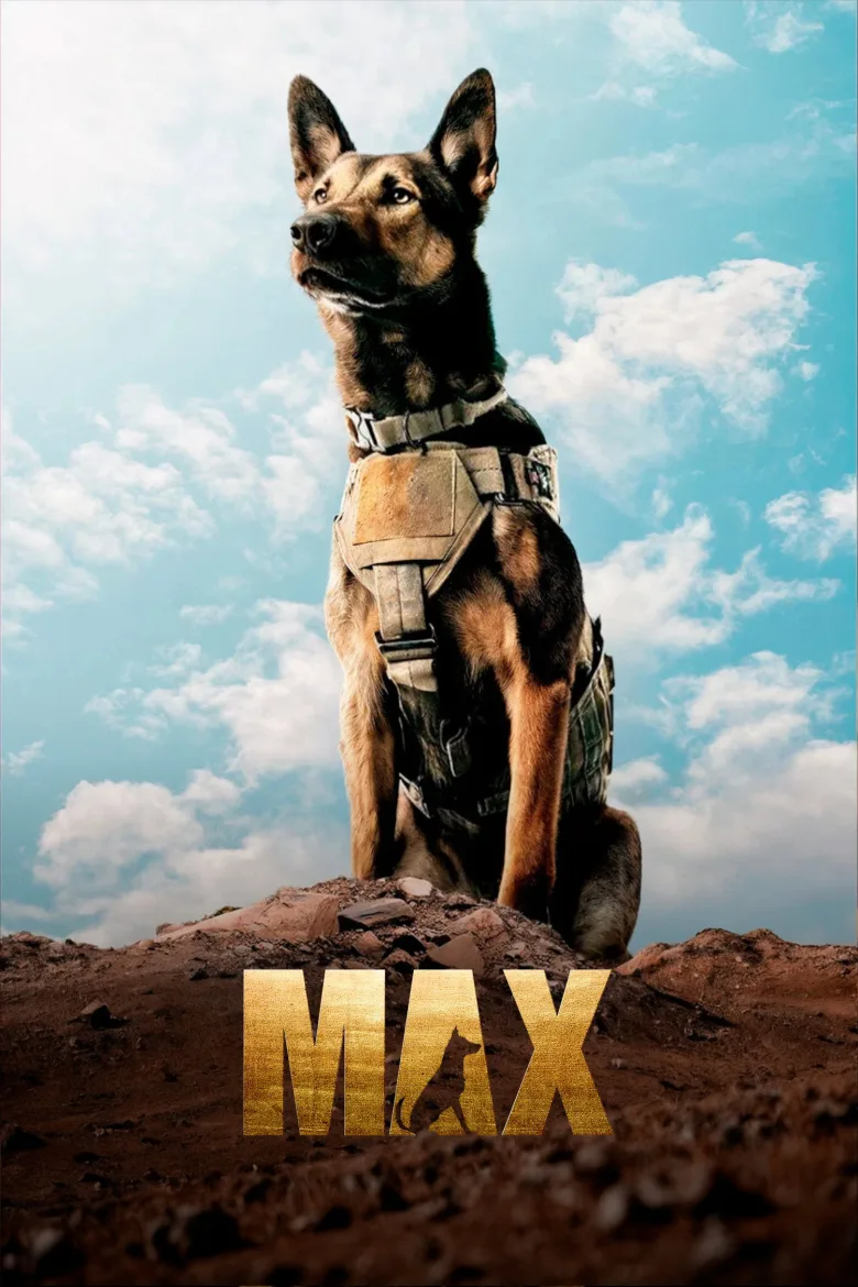 Max İndir - görsel 14