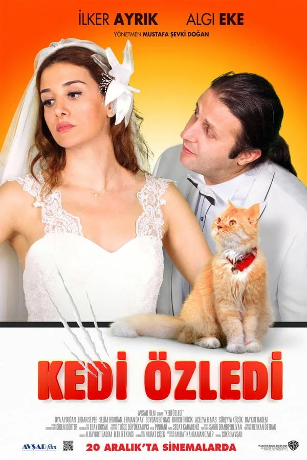 Kedi Özledi İndir - görsel 2