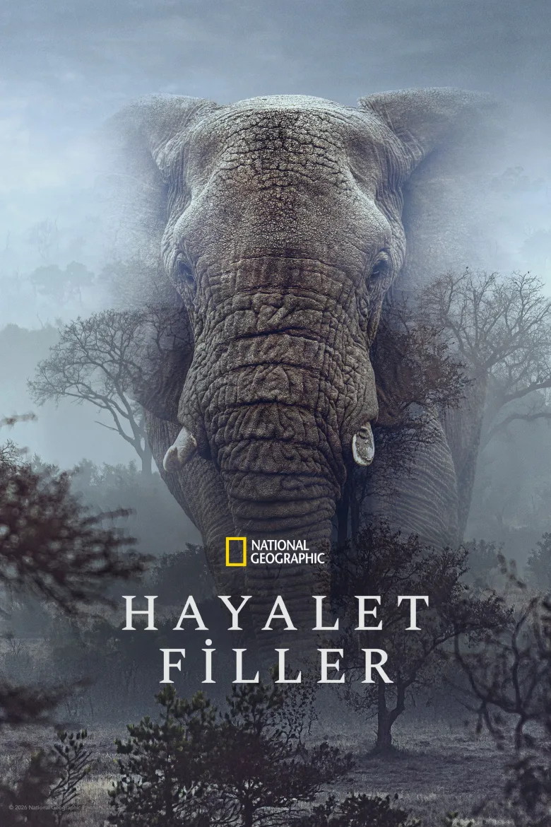 Hayalet Filler İndir - görsel 11
