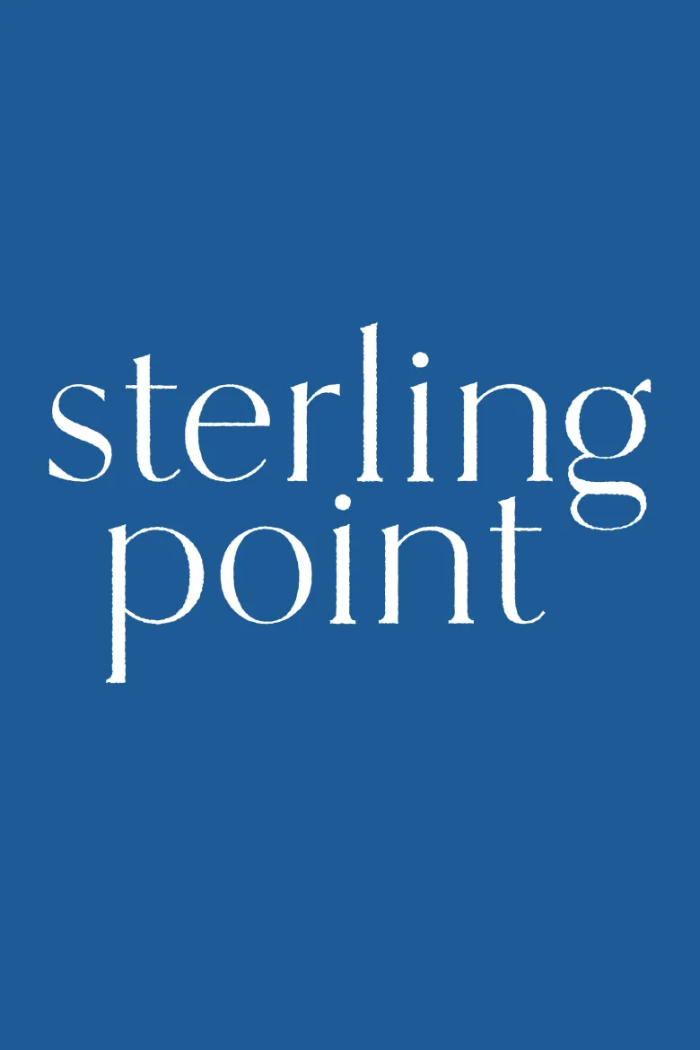Sterling Point 1080p Dual İndir - görsel 8