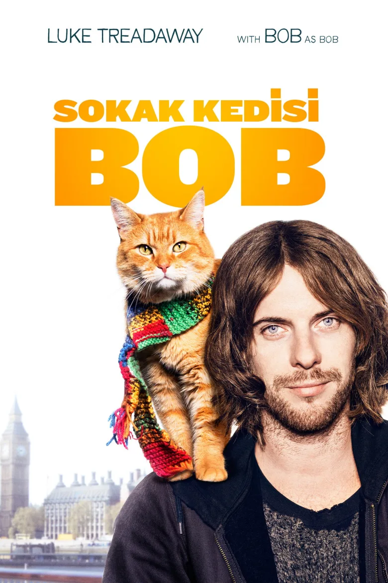 Sokak Kedisi Bob İndir - görsel 11