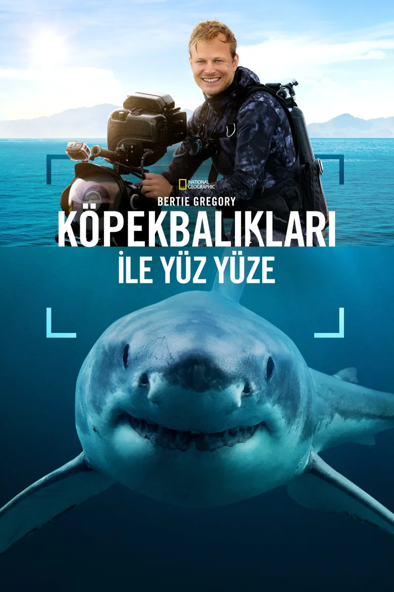 Bertie Gregory Köpekbalıkları ile Yüz Yüze - görsel 11