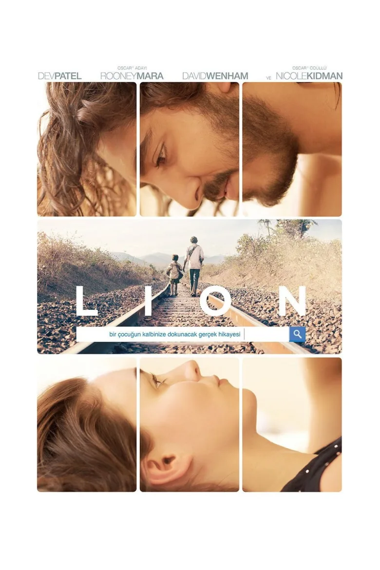 Lion İndir - görsel 11