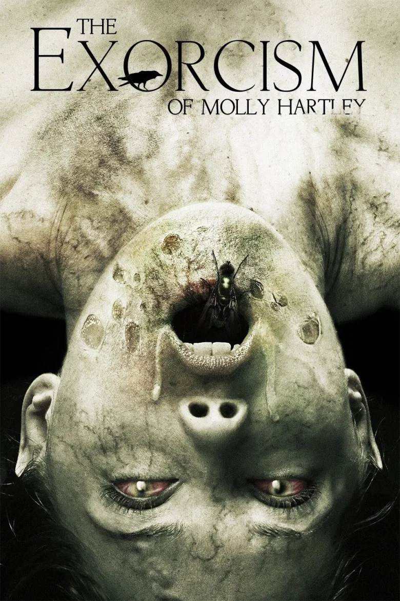 Molly Hartley'nin Laneti 2 İndir - görsel 10
