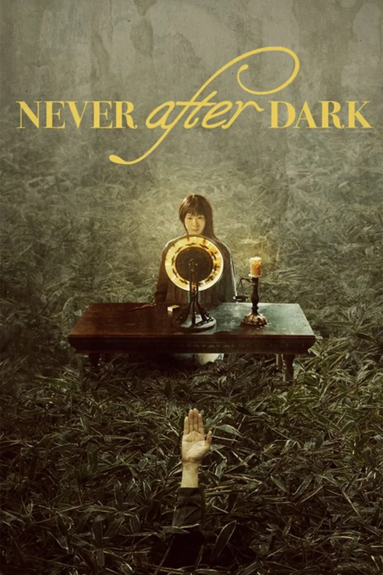 Never After Dark - görsel 12
