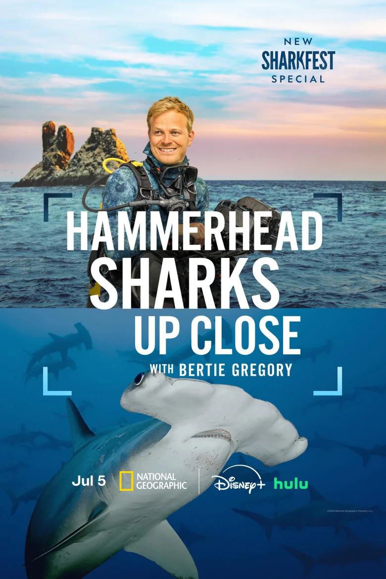 Hammerhead Sharks Up Close with Bertie Gregory İndir - görsel 9