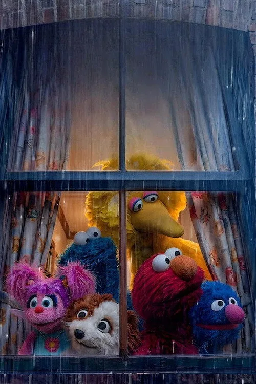 Storm on Sesame Street - görsel 2