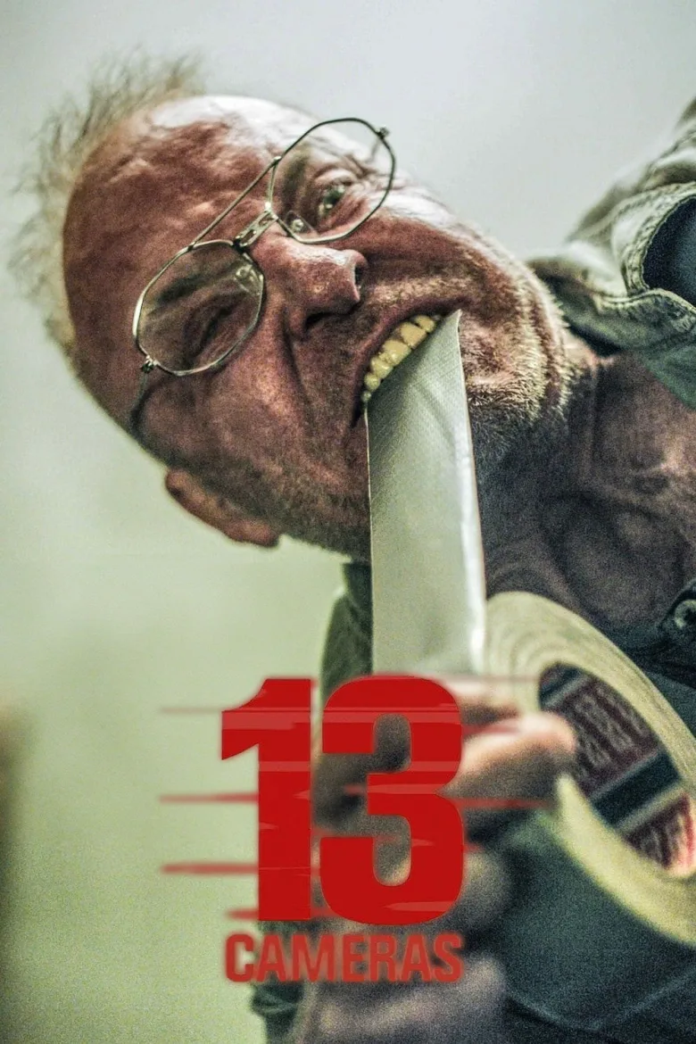 13 Cameras İndir - görsel 4