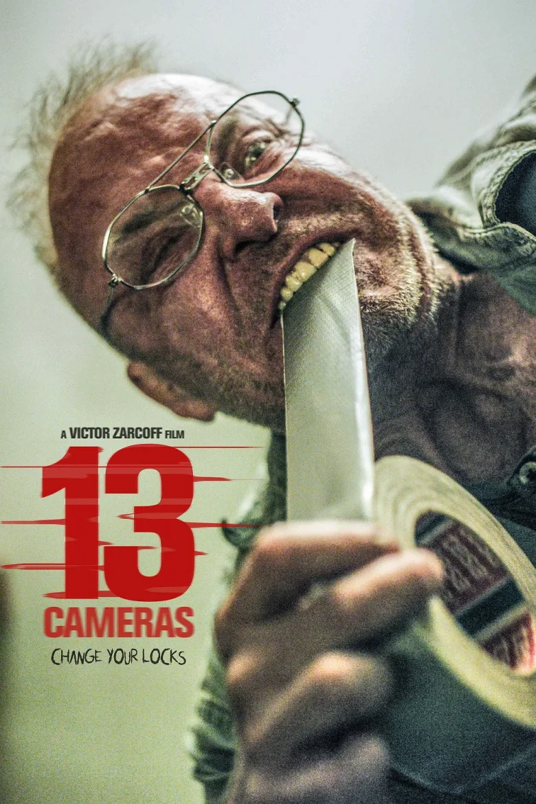 13 Cameras İndir - görsel 5
