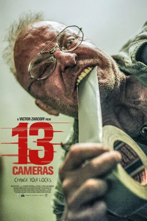13 Cameras İndir - görsel 6