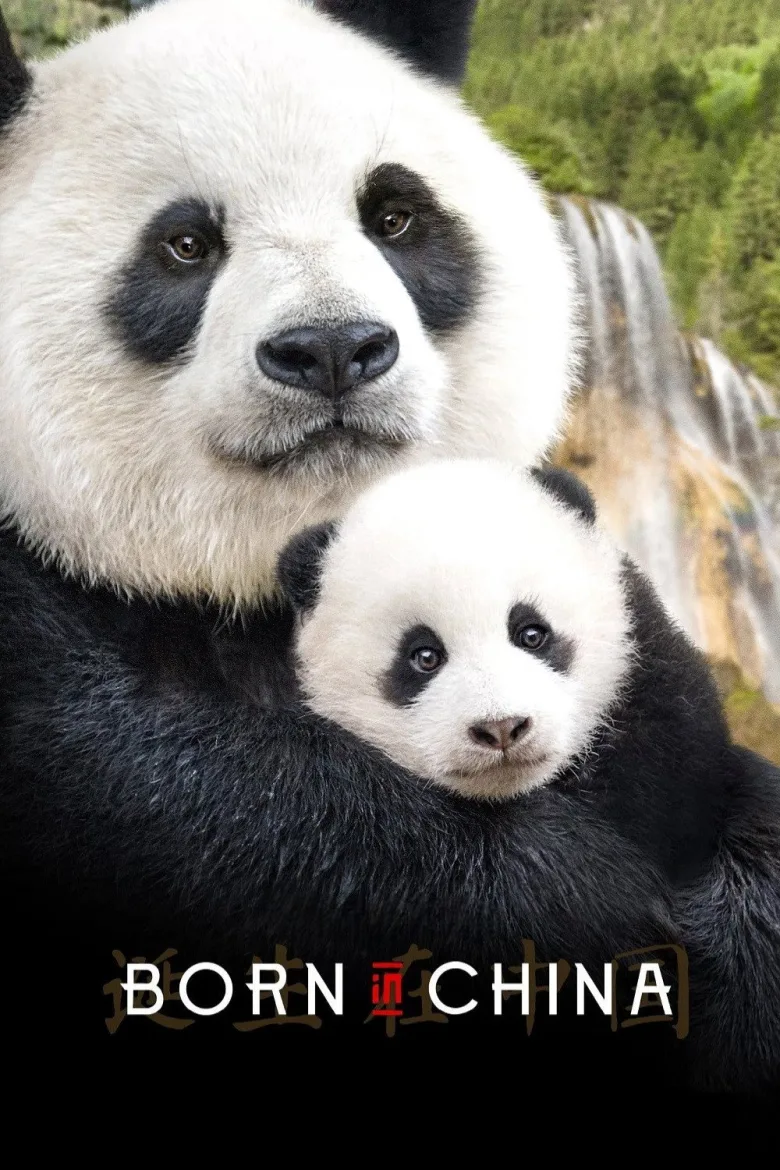 Born in China İndir - görsel 11