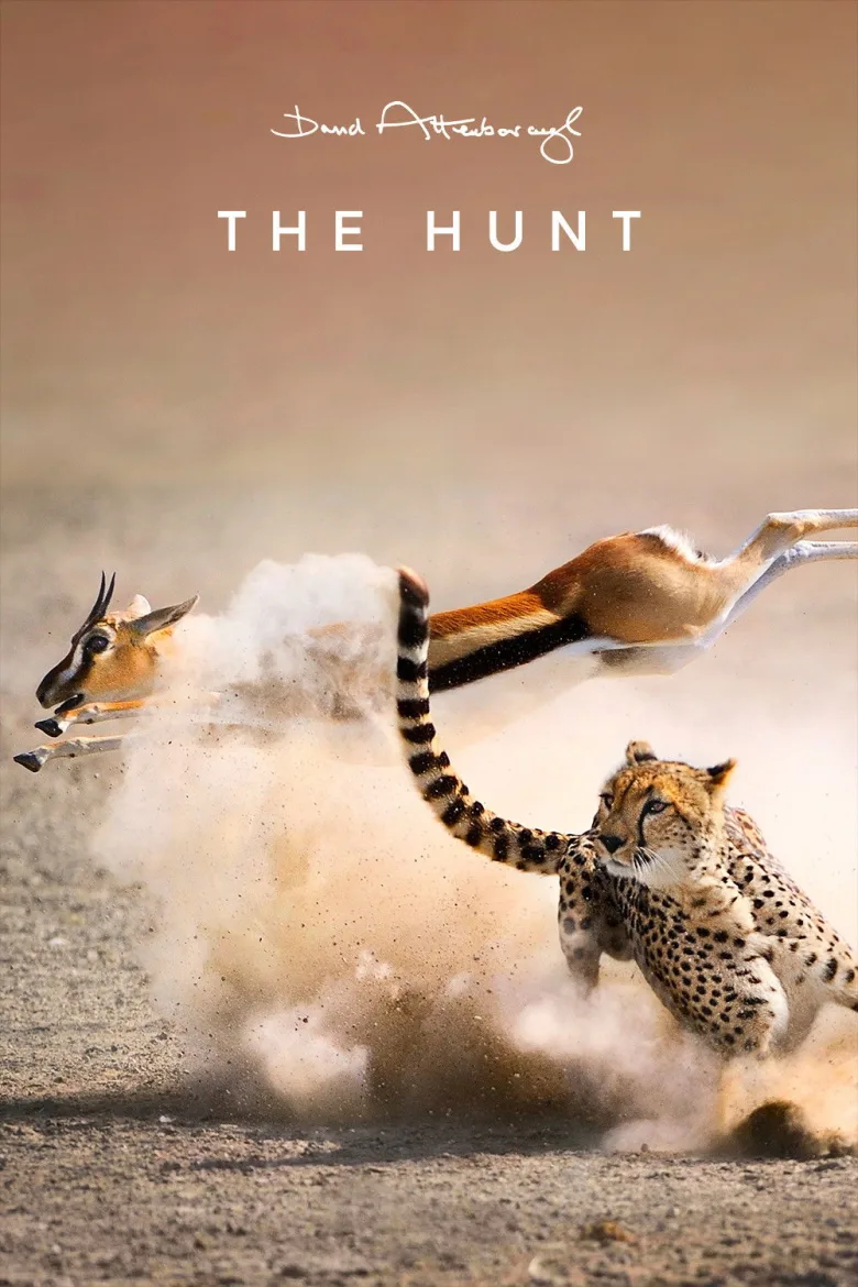 The Hunt 1080p İndir - görsel 11