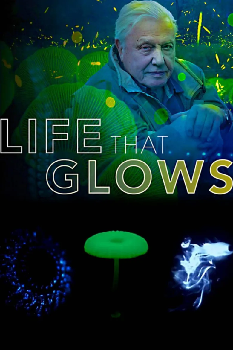 Attenborough's Life That Glows - görsel 7