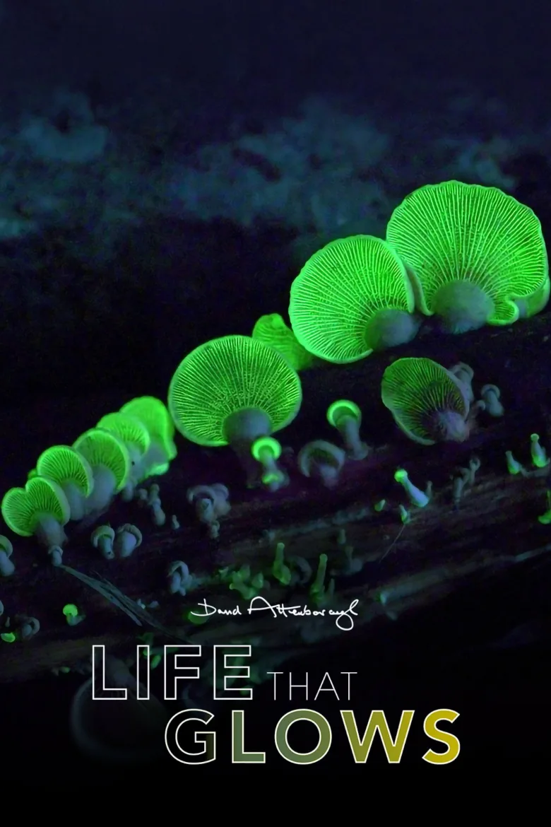 Attenborough's Life That Glows - görsel 8