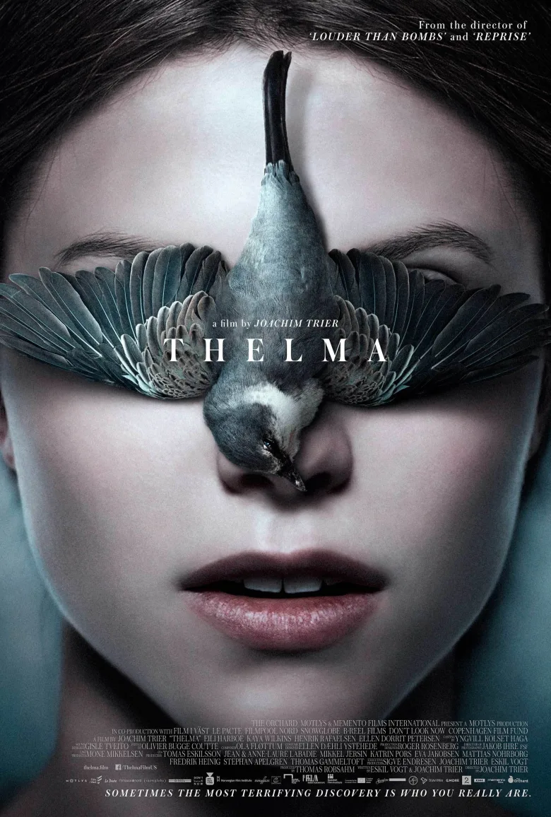 Thelma İndir - görsel 14