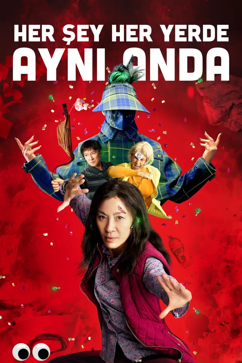 Her Şey Her Yerde Aynı Anda İndir - görsel 11