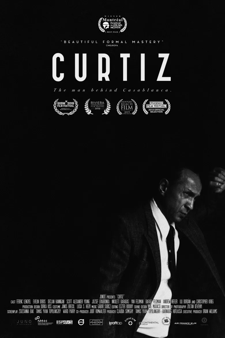 Curtiz İndir - görsel 14