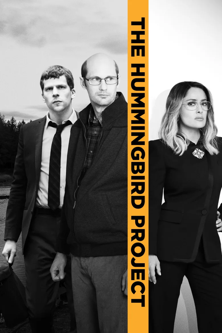Proje Hummingbird - görsel 13