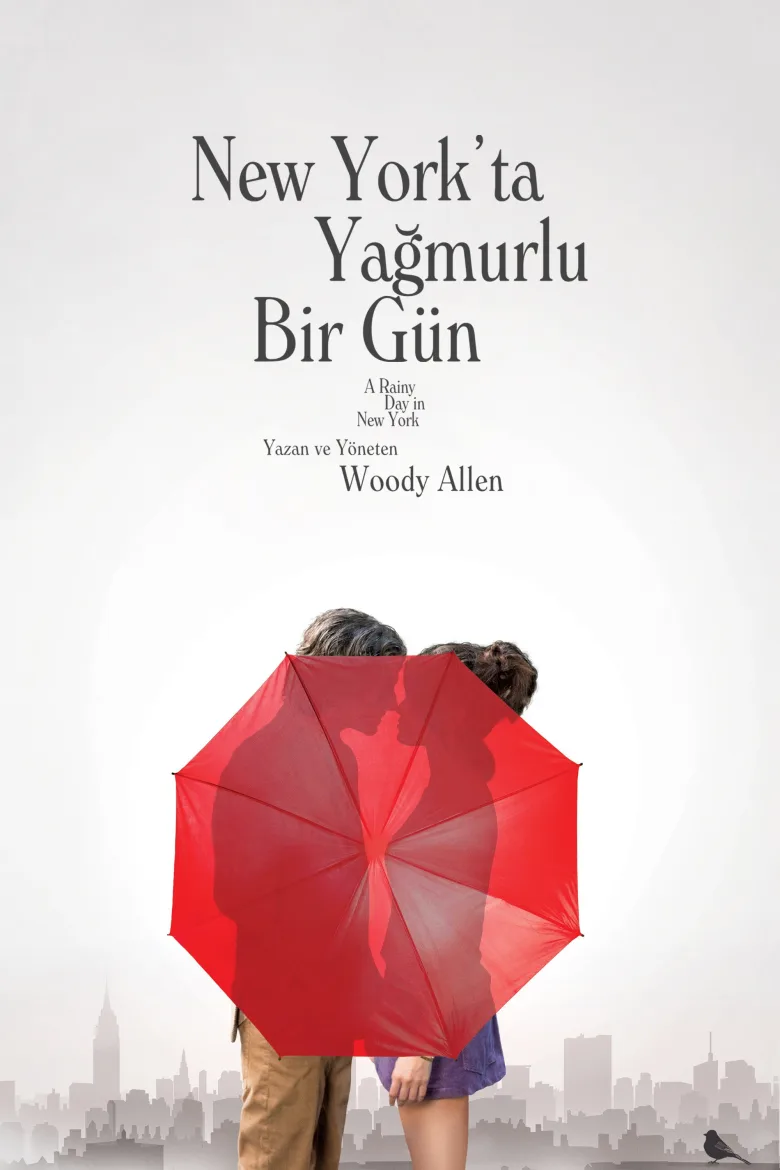 New York'ta Yağmurlu Bir Gün İndir - görsel 15
