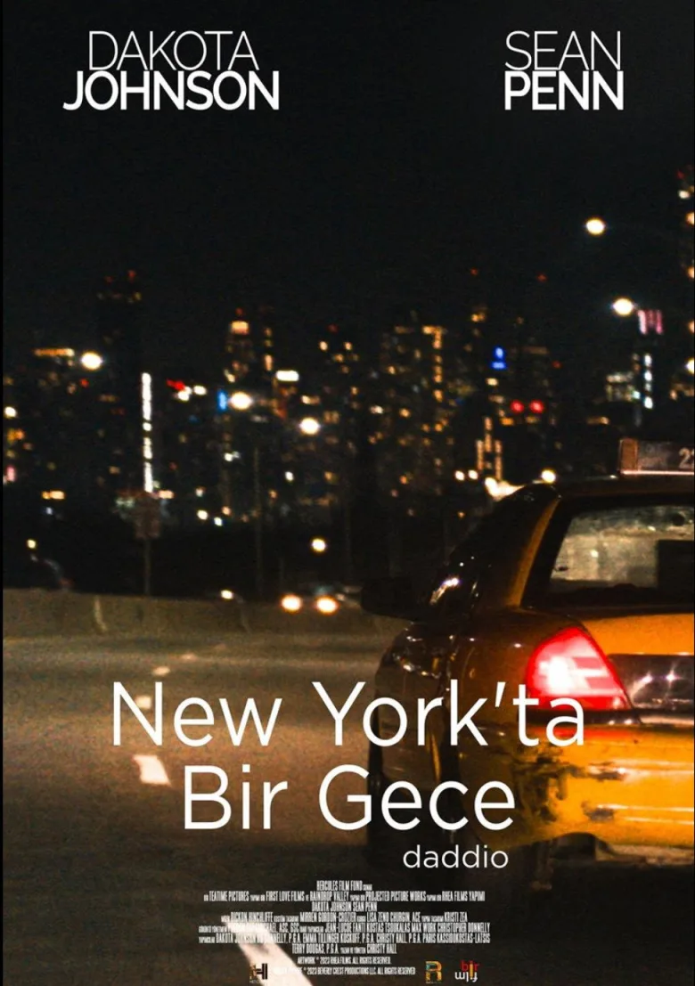 New York'ta Bir Gece İndir - görsel 12