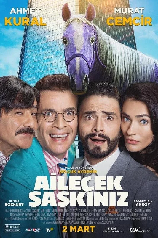Ailecek Şaşkınız İndir - görsel 9