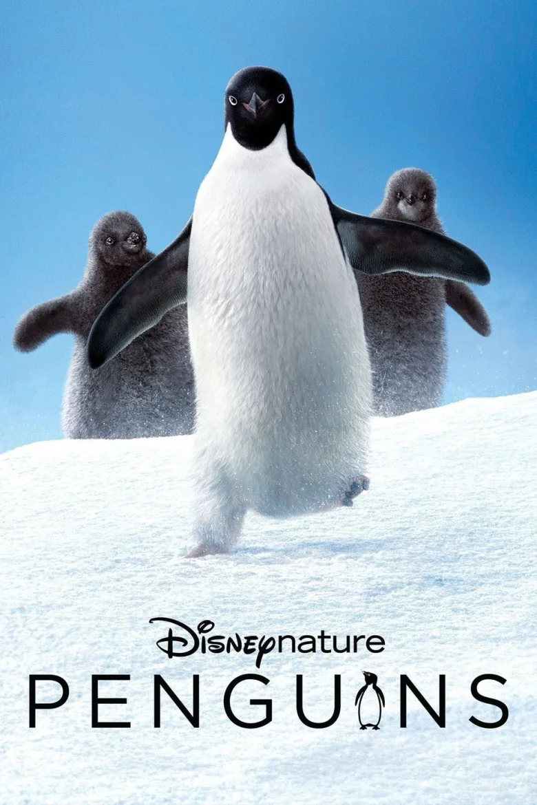 Penguenler İndir - görsel 11