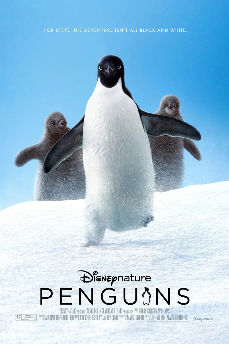 Penguenler İndir - görsel 12