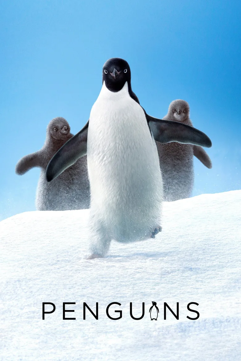 Penguenler İndir - görsel 13