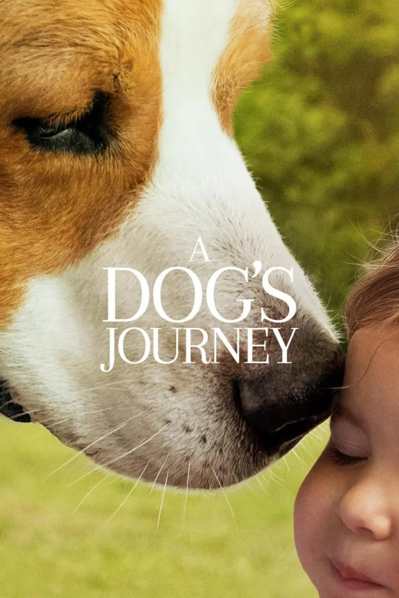 A Dog's Journey İndir - görsel 11