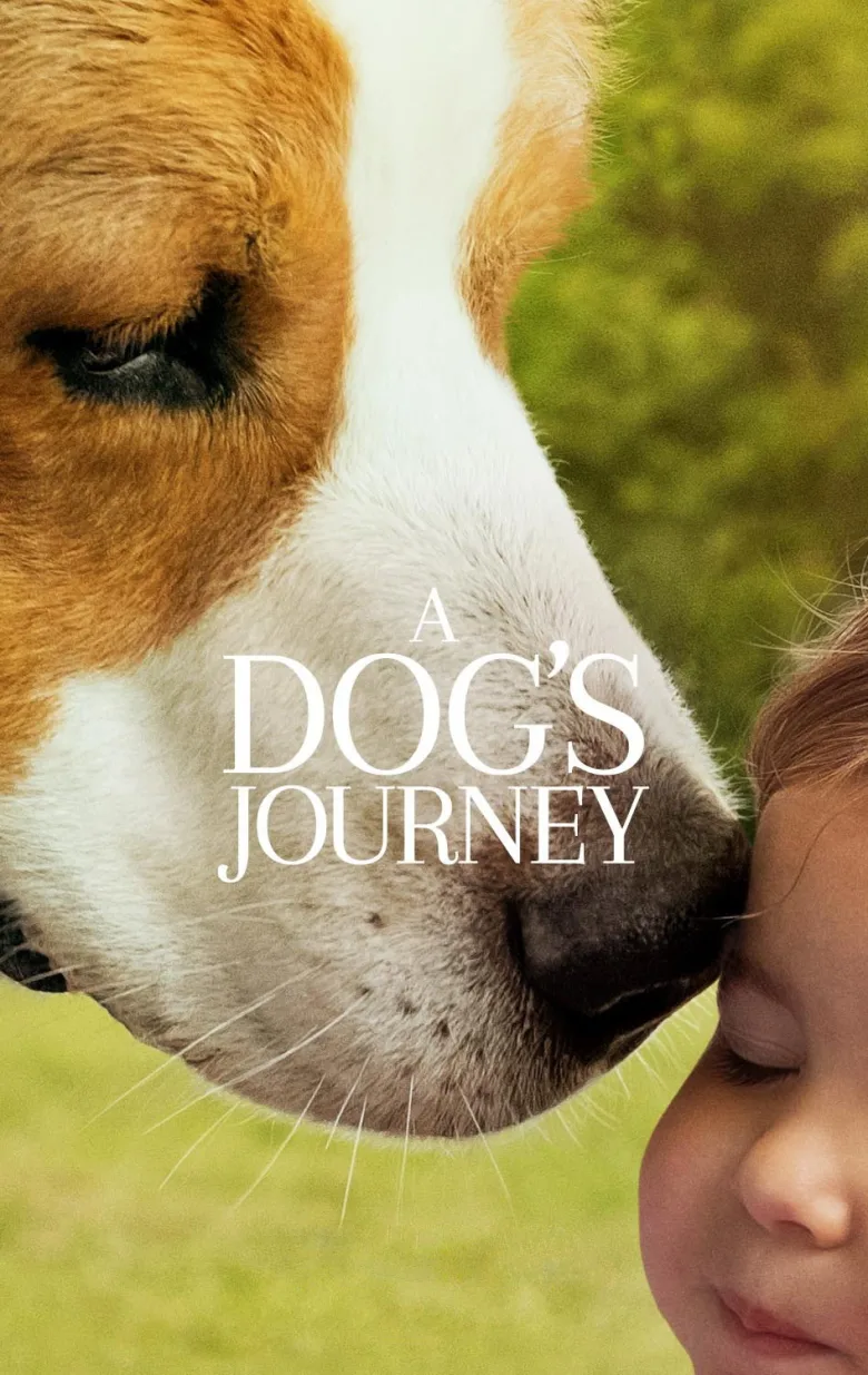 A Dog's Journey İndir - görsel 12