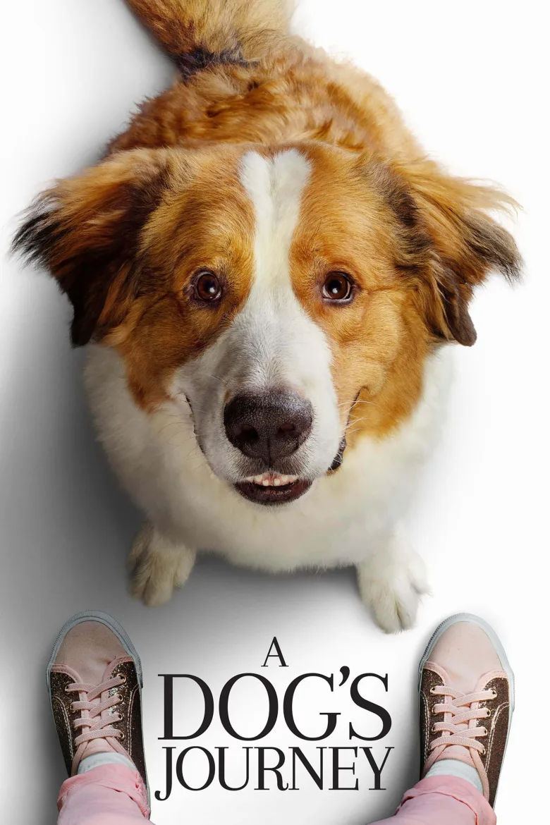 A Dog's Journey İndir - görsel 13