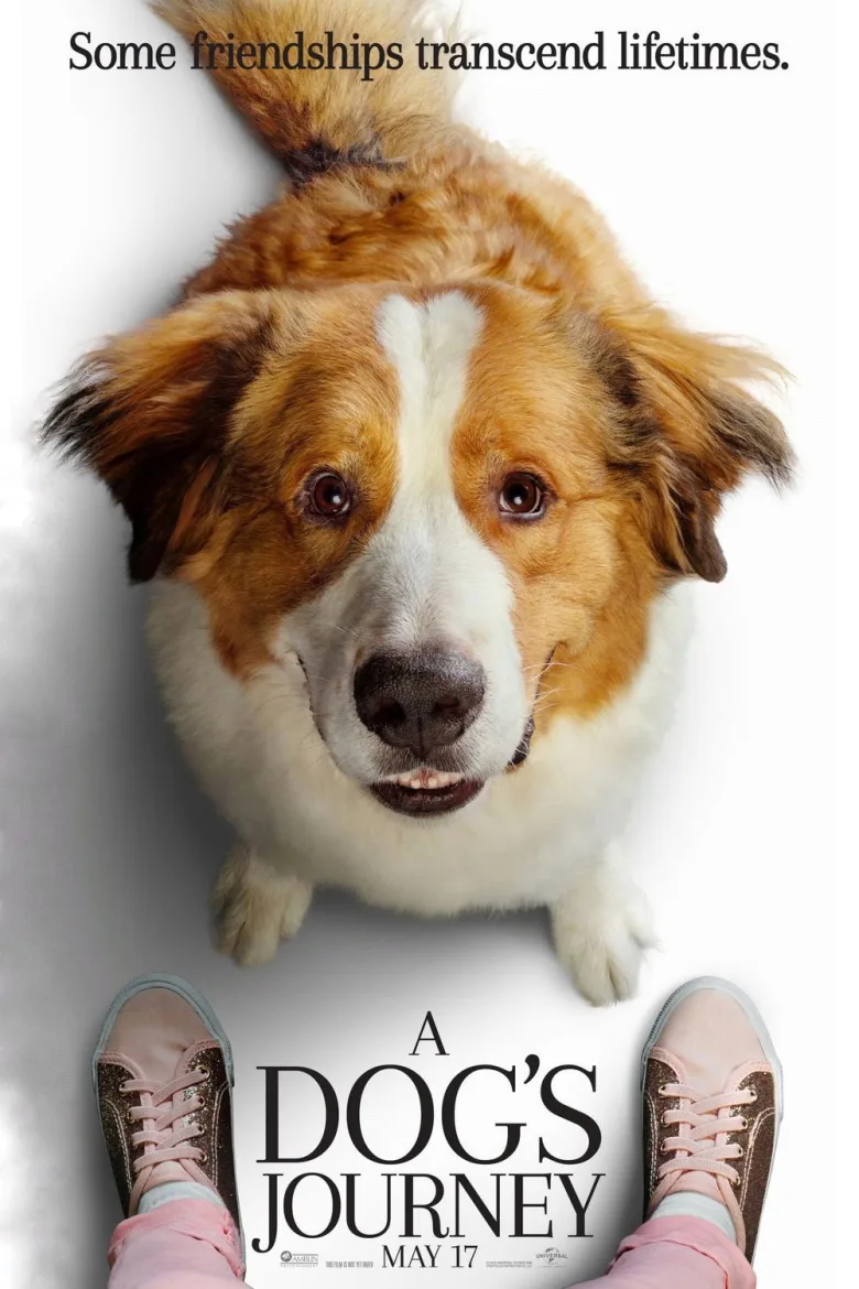 A Dog's Journey İndir - görsel 14