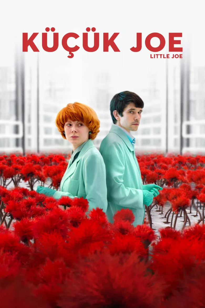 Küçük Joe İndir - görsel 13