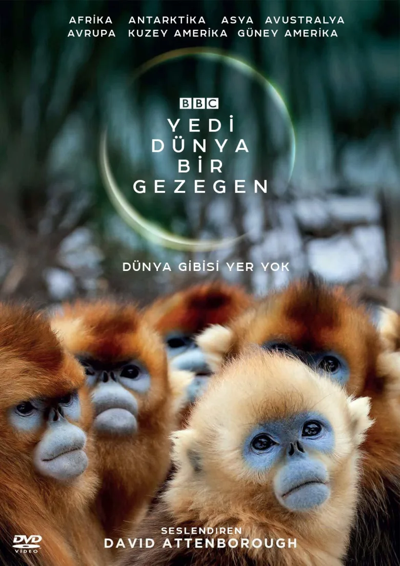 Yedi Dünya, Bir Gezegen İndir - görsel 11