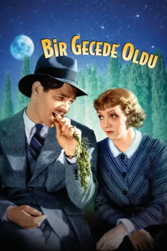 Bir Gecede Oldu İndir posteri