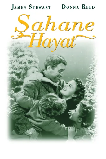 Şahane Hayat İndir
