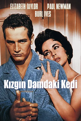 Kızgın Damdaki Kedi İndir posteri