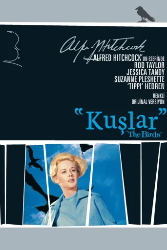 Kuşlar İndir posteri