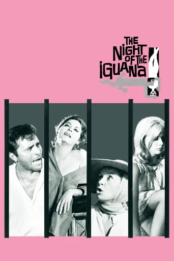 The Night of the Iguana İndir posteri