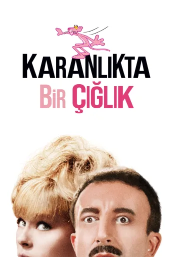 Karanlıkta Bir Çığlık İndir posteri