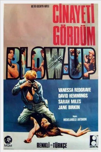 Cinayeti Gördüm İndir posteri