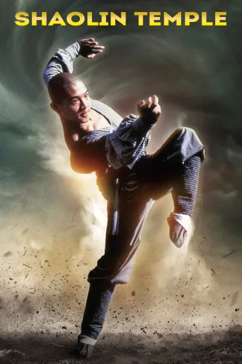 Shaolin Temple İndir