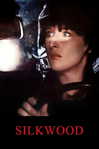 Silkwood İndir posteri