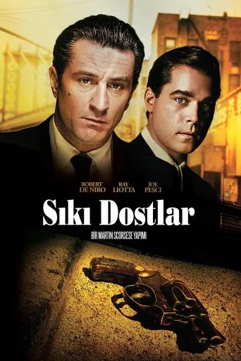 Sıkı Dostlar İndir posteri