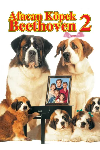 Afacan Köpek Beethoven 2 İndir