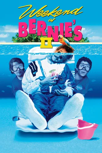 Çılgın Tatil 2 İndir posteri