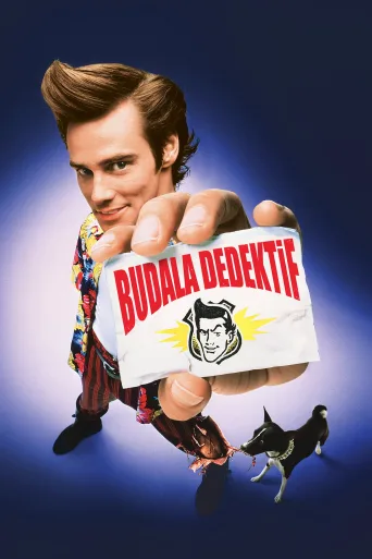 Budala Dedektif İndir posteri