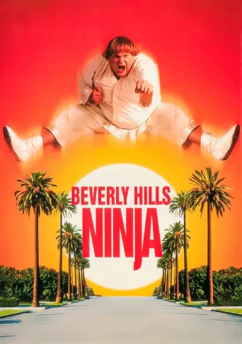 Beverly Hills Ninja İndir posteri
